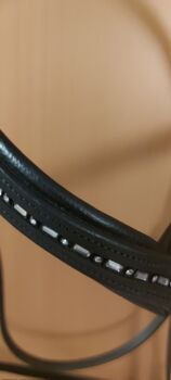 Zaumzeug XXFull mit V-Stirnriemen