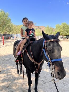 Horse back riding lessons and horse training, Carmen Robinson , Nauka jazdy konnej, Valencia
