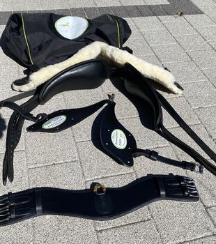 Horse Bodyformer von Franz Grünbeck, Franz Grünbeck Bodyformer, Angelika Goppert, Lunging, LiTZENDORF