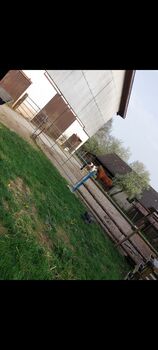 Pferdebox/Offenstall frei