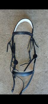 Horse bridle for sale