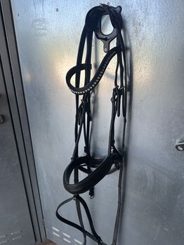 Pferdezaum von Löwe, Löwe, Thalia, Bridles & Headstalls, Wangen b. Dübendorf