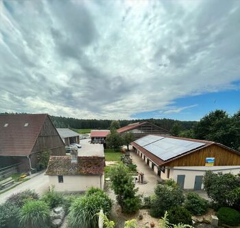 Pferdepflege/Stallhilfe für Reiterhof gesucht (m/w/d), Gerhard (Reiterhof Harm), Job Offers, Schwanstetten