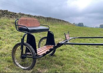 Horse Cart, Ali, Carriages, Stanhope