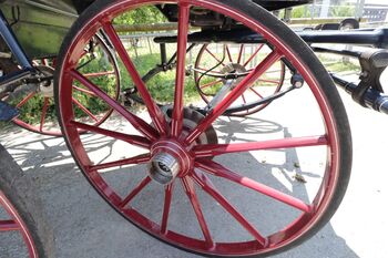 Pferdekutsche: Hochwertige, dunkelblaue SW-Wagonette SW Wagonette