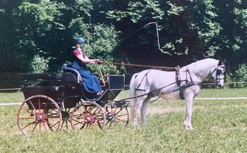 Pferdekutsche: Hochwertige, dunkelblaue SW-Wagonette, SW Wagonette, Patricia, Carriages, Baar