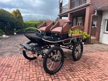 Horse - Drawn carriages, XXX horse-drawn carriage driving lessons, MARCIN, Carriages, Krobia