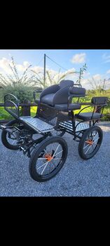 Horse - drawn carriages, XXX Traningswagen (1 horse), MARCIN, Carriages, Krobia