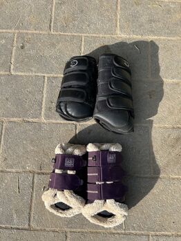 Gamaschen Pferd, Lea , Tendon Boots, Nottuln