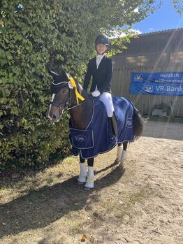 Pferd/ Pony zur Turniervorstellung gesucht