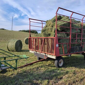 Horse quality Alfalfa, Timothy and Orchard grass Alfalfa hay