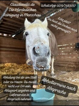 Pferdedecken Reinigung, Alle Hersteller, Claudia Selic, Horse Blankets, Sheets & Coolers, Kalterherberg 