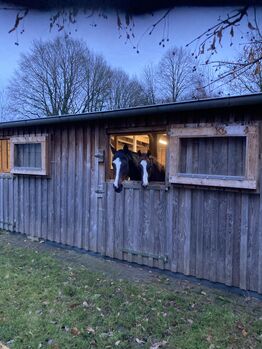 Pferdestall Weidehütte Alpakastall, Olaf Nielsen, Meyer, Horse & Stable Mats, Schiffdorf