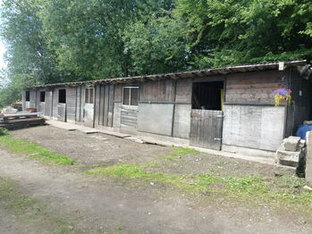 Horse Stables For Sale, tottington, bury., jason briggs, Horse Stables, bury
