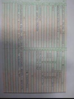 Pferdeanhänger Rettenmaier 1,5er Kleinpferde Rettenmaier Pferdeanhänger