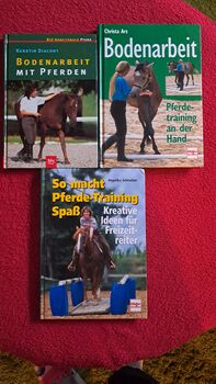 Pferdetraining an der Hand