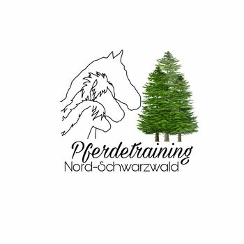 Pferdetraining / Beritt, Lena, Riding Lessons, Bad Teinach-Zavelstein