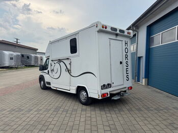 Pferdetransporter Citroen  2 Seitenrampen 180 PS Viehtransporter Citroen Jumper Dickenherr 2 Ride 