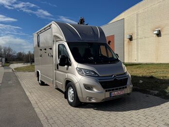 Pferdetransporter DT Citroen Jumper 165PS Klima Viehtransporter, Dickenherr Dickenherr 2 Ride , Gerhard Strobel (Dickenherr Trucks und Trailers), Horse Trailers, Baden-Württemberg - Unterschneidheim