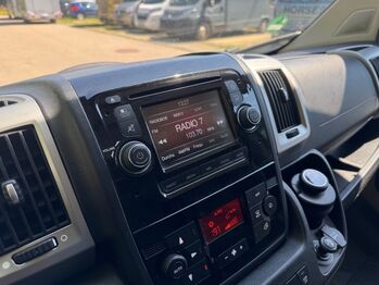 Pferdetransporter Theault Hengstausstattung Automatik 177PS Fiat Theault Fiat Ducato Hengst