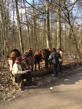 Ausritt für jung und alt