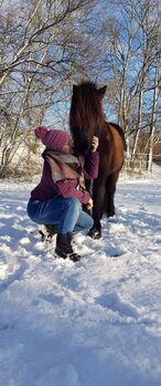 Reitbeteiligung, Romana, Horses For Sale, Schwechat