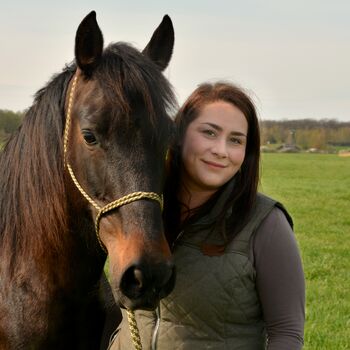 Horsemanship mobil, Bodenarbeit, Problemlösungen, Verladetraining uvm