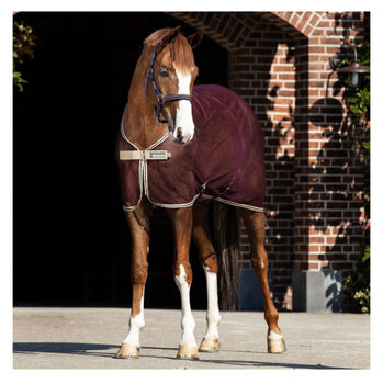 Horseware Amigo Net Cooler - Fliegen- und Abschwitzdecke, Horseware Amigo Net Cooler, Melanie Kolz, Ochrona koni przed owadami , Schuby