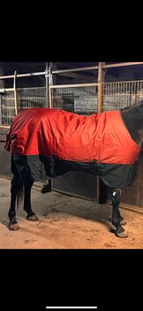 Horseware Mio Decke 50g, Horseware  Mio, Kim Sophi Speer, Horse Blankets, Sheets & Coolers, Datteln