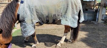 Horseware Rambo Fliegendecke 125er