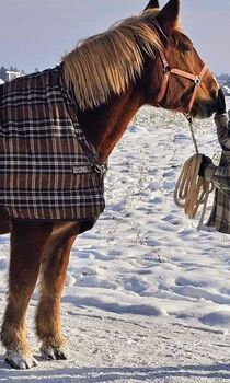 Horseware Winterdecke Rhino, 165 Horseware Rhino
