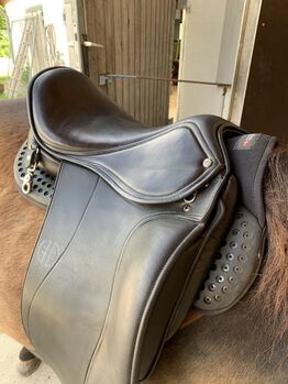 Hrimnir Pro 16,5, Hrimnir Pro, Julia Oswald, Icelandic Saddle, Höhenkirchen-Siegertsbrunn 