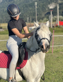 Hübsche sportliche Pony Stute zu verkauf, Alessia, Pferd kaufen, Wörgl