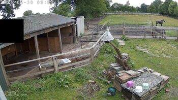 Hufglocken, Josy, Sonstiges, Schafstedt