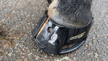 Hufschuhberatung und Barhufbearbeitung Loderhof 10
