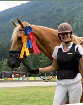 Ungarischer Halbblutwallach, Nicole Girstmair , Horses For Sale, Amlach