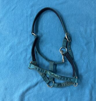 HV Polo Halfter, HV Polo, Werny, Halters, Lassee