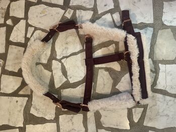 Hv Polo Halfter, Lena-sofie, Halters, Herzogenrath 