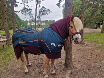 Vermiete Bemer Horse Set Bemer