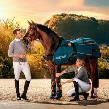 Vermietung Bemer Horse Set, Bemer Horse Set, Michelle , Therapy & Treatment, Sankt Augustin 