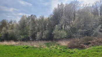 Appartement 15.05.-20.05.2026 mieten, Anita Sieber-Butler , Riding Holidays, Cham 