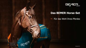 Bemer Mieten & Kaufen möglich Beratung Telefonisch oder auch bei euch im Stall Bemer Horse Set