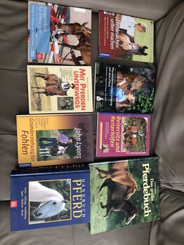 Unterwegs mit Pferden Reitersitz Fohlenerziehung Handbuch Pferd, Rebecca, Books, Potsdam
