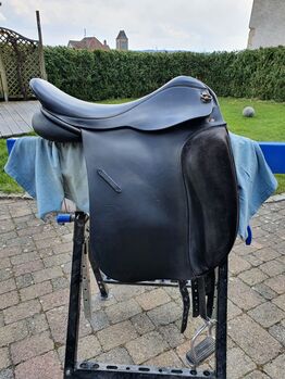 Isländersattel Astund, Astund Royal Plus, Lukas, Icelandic Saddle, Oberbuchsiten