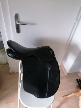 Islandsattel SK Töltsattel, SK, Naomi, Icelandic Saddle, Bargfeld-Stegen