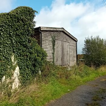 Idyllic Devon Equine Property