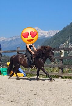 Islandpferd, Ingrid , Horses For Sale, Zederhaus 