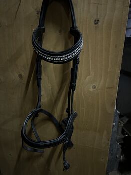 Islandtrense von Sleipnir, Sleipnir, Natalie , Bridles & Nosebands, Euskirchen