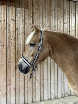 Verkaufe zwei tolle Freizeitpferde, Leonie, Horses For Sale, Landl