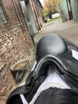 Ikonic Dressursattel Pro Line EVOD04, 17 Zoll, schwarz Ikonic Pro Line EVOD04